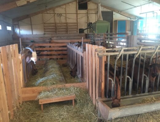 La Ferme de Pelissou