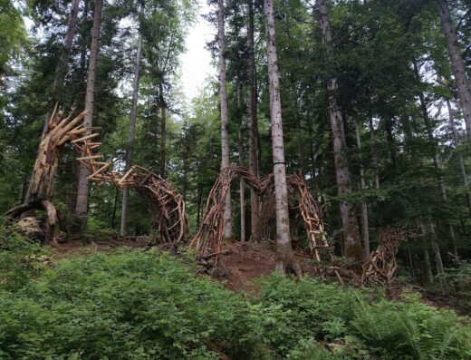 La Forêt des Arboris – Parc de loisir éco-citoyen – Aydat