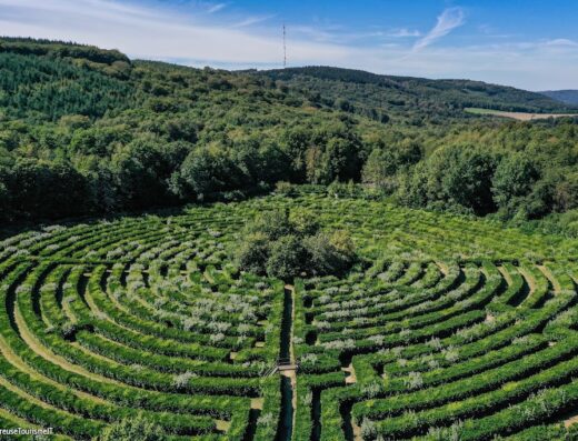 Labyrinthe Géant des Monts de Guéret – ENTREPRISE FRÉRY