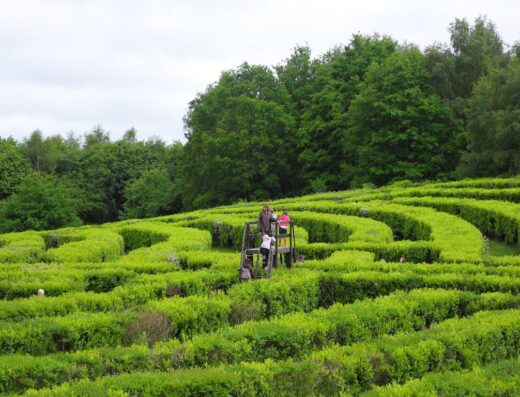 Labyrinthe Géant des Monts de Guéret – ENTREPRISE FRÉRY