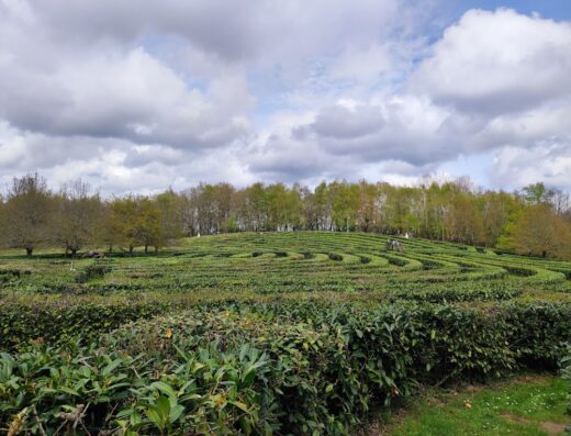 Labyrinthe Géant des Monts de Guéret – ENTREPRISE FRÉRY