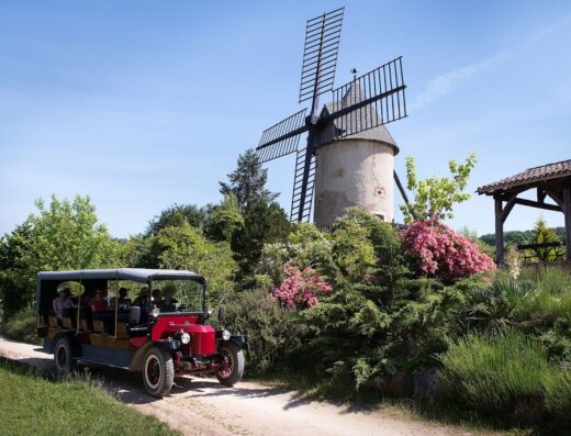 Le Parc du Bournat – Un Voyage en 1900