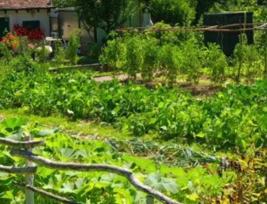 Les Jardins du Gardon