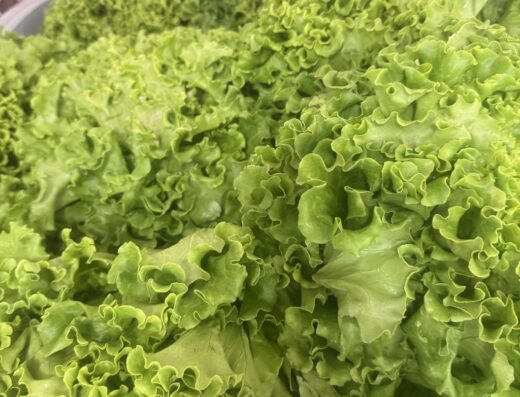 O P’tit Marché