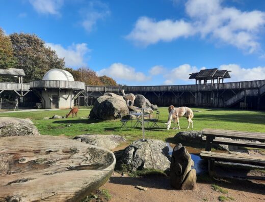 Parc Animalier des Monts de Guéret Les Loups de Chabrières