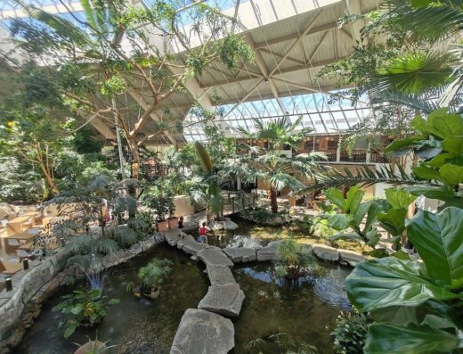 Parc aquatique Aqua Mundo Center Parcs Les Hauts de Bruyères