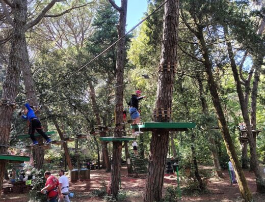 Parcallario