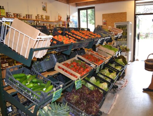 Paysans Producteurs