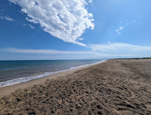 Plage pour chiens Portiragnes