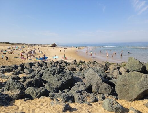 Santocha Capbreton Surf, Bodyboard Club