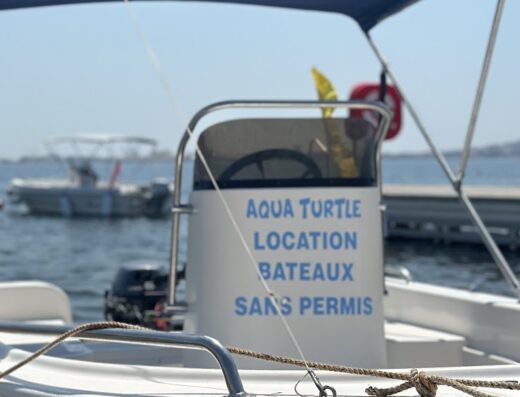 Aqua Turtle