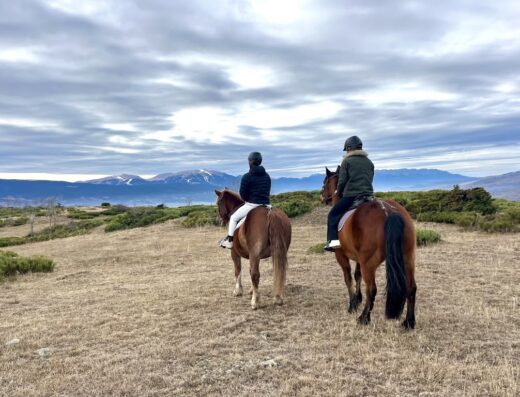 Cheval Loisirs Promenades …