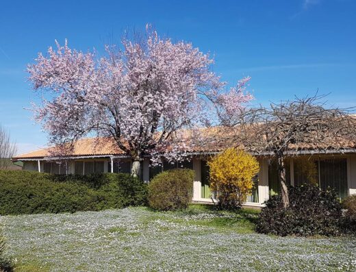 Hôtel Kyriad Angoulême Nord Champniers