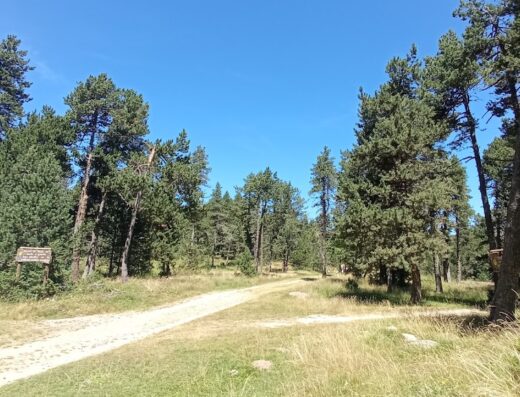 Sentier sportif Paula Radcliffe
