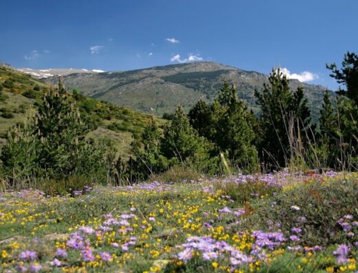 Tour de Cerdagne (Pyrénées-Orientales France, Catalogne-Espagne)