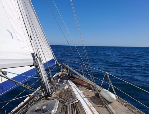 Vivre La Voile